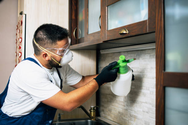Best Emergency Pest Control  in Arden Arde, CA
