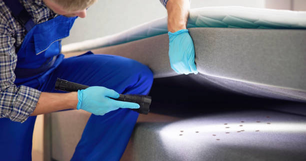 Best Residential Pest Control  in Arden Arde, CA